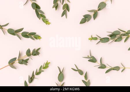 Wreath made of eucalyptus branches on a beige background. Place for text. Stock Photo