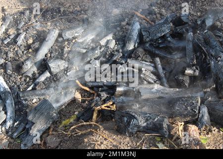 Branches that are burned to make natural charcoal for sale. Selective focus, Stock Photo