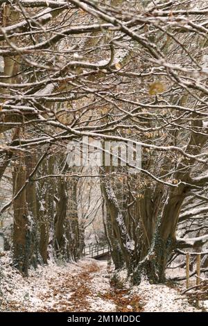 Snow in Haycombe Bath Stock Photo