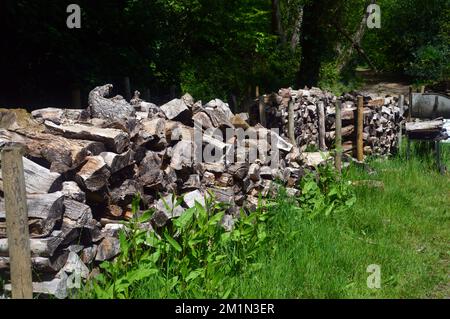 Chopped Dry Wood Ready for the Metal Charcoal Kiln in the Woods by the Georgian Ride in the Lost Gardens of Heligan, St.Austell, Cornwall, England. Stock Photo