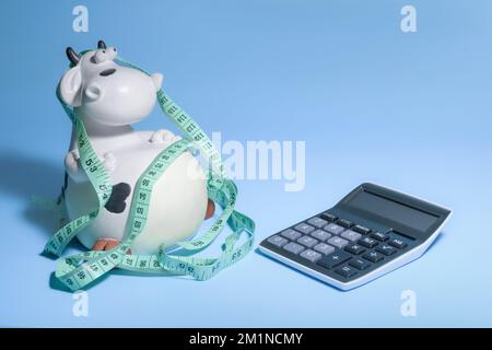 Calorie counting concept. Wellness state health advice. Fun composition with calculator and cow. Blue background Stock Photo