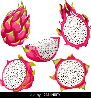 dragon pitaya fruit set cartoon vector illustration Stock Vector