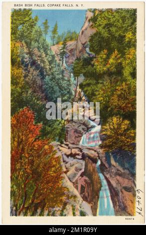 Bash Bish Falls, Copake Falls, N. Y. , Waterfalls, Mountains, Tichnor Brothers Collection, postcards of the United States Stock Photo