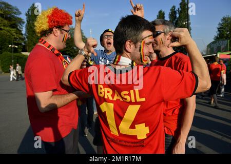 Serbian national soccer team supporter hi-res stock photography