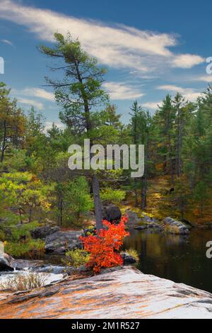 High Falls in Algonquin Provincial Park. Ontario's Largest Provincial Park. Stock Photo