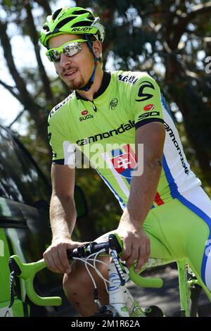 Peter sagan cannondale online bike