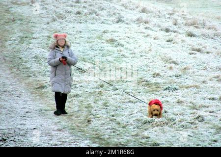 Glasgow, Scotland, UK 13th December, 2022. UK Weather: dog walker  Freezing temperatures saw a Cold night give rise to  frozen forth and clyde canal and freat western road  in knightswood in the north of the city.  Credit Gerard Ferry/Alamy Live News Stock Photo