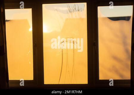 A window covered in condensation. Stock Photo