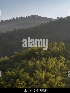 Scenic autumn mountain landscape view with layers of bamboo forest in beautiful morning sunlight, Chiang Dao, Chiang Mai, Thailand Stock Photo
