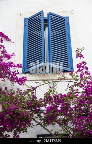 Blue shuttered window and purple bougainvillea on white house, Ostuni, Brindisi province, Puglia, Italy, Europe Stock Photo