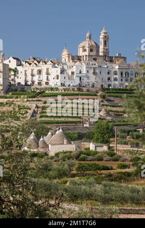 Locorotondo town on hilltop with trulli houses and olive grove below in the Valle d'Itria, Locorotondo, Puglia, Italy, Europe Stock Photo