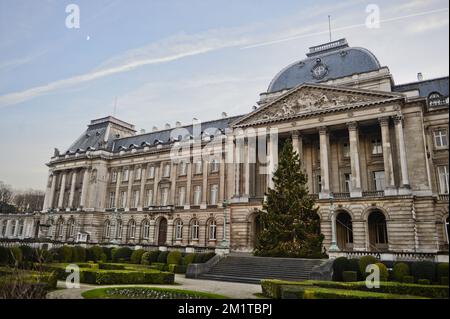 20131209 - BRUSSELS, BELGIUM: Illustration picture shows the Christmas tree at the Royal Palace in Brussels, Monday 09 December 2013. The tree is originates from Waimes, Liege province. BELGA PHOTO LAURIE DIEFFEMBACQ Stock Photo