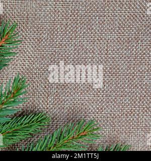 Spruce branch on jute fabric Stock Photo