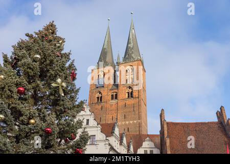 Church of St. Mary and town hall in Stendal with Christmas tree Stock Photo