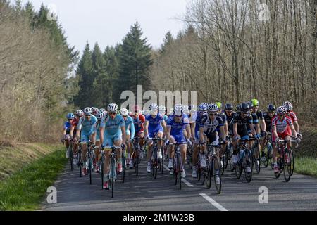 20140311 - MAGNY-COURS, FRANCE: Illustration picture shows the pack of cyclists during the third stage of the 72nd edition of Paris-Nice cycling race, 180km from Toucy to Circuit de Nevers Magny-Cours, Tuesday 11 March 2014.  Stock Photo