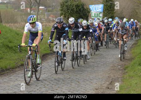 Illustration picture shows the pack of riders on the Oude Kwaremont during the 69th edition of the 'Dwars Door Vlaanderen' cycling race, 200,8 km from Roeselare to Waregem. Stock Photo