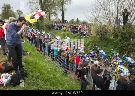 Illustration picture shows the pack of cyclists at the 'Oude Kwaremont' during 'Ronde van Vlaanderen - Tour des Flandres - Tour of Flanders' one day cycling race, 259 KM from Brugge to Oudenaarde, Sunday 06 April 2014.  Stock Photo