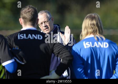 20141111 - BRUSSELS, BELGIUM: Iceland's head coach Lars Lagerback pictured during a training session of Iceland's national soccer team, in Brussels, Tuesday 11 November 2014. Iceland will play on Wednesday a friendly game against Belgian national soccer team Red Devils. BELGA PHOTO LAURIE DIEFFEMBACQ Stock Photo