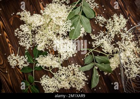 Close-up of elderberry flowers on a wooden village table freshly harvested for herbal medicine or herbal aromatic tea used in alternative medicine. Stock Photo