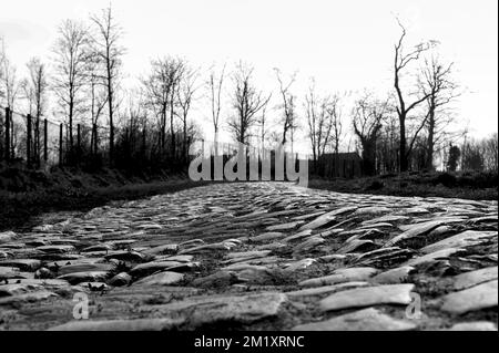 Illustration picture shows cobble section 4 (Carrefour de l'Arbre) during a reconnaissance of the track of next Sunday's 'Paris-Roubaix' one day cycling race, Wednesday 08 April 2015 in Roubaix, France.  Stock Photo