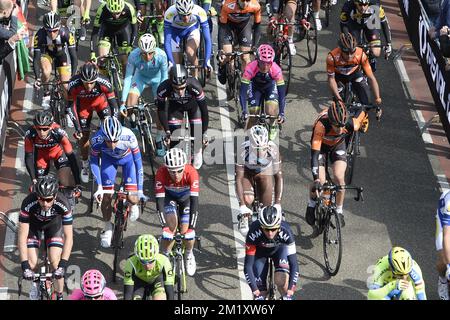 The pack of riders seen during the 50th edition of the Amstel Gold race, 258km from Maastricht to Berg en Terblijt, Netherlands, Sunday 19 April 2015.  Stock Photo