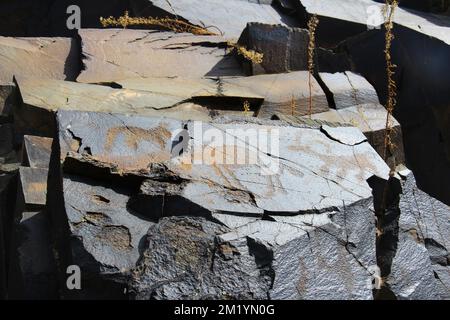 Ancient images of animals on stone, petroglyphs in the sunlight in the Tamgaly-Tas tract Stock Photo