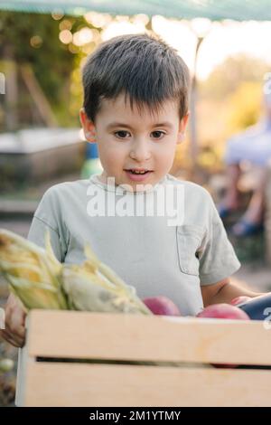 Little boy having fun in a greenhouse on sunny summer day holding a basket full of fresh organic vegetables. Child helping with daily chores Stock Photo