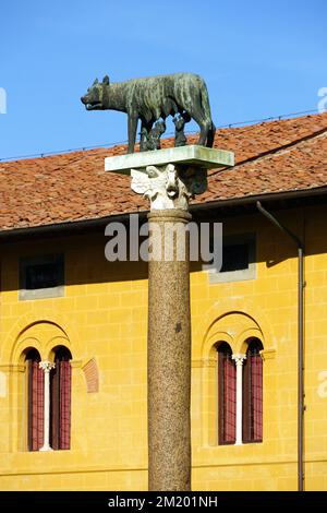 Lupa Capitolina, statue of a female wolf, Piazza dei Miracoli, Square of Miracles, Pisa, Tuscany, Toscana, Italy, Europe Stock Photo
