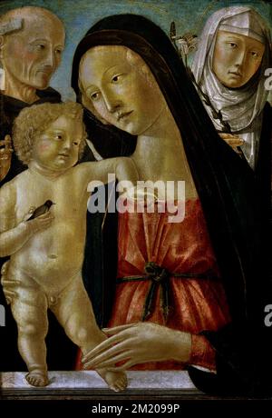 Neroccio di Bartolomeo Landi,1447-1500, Madonna and Child, St. Bernardine and St. Catherine of Siena,  Christian Art, Italy, Italian. Stock Photo