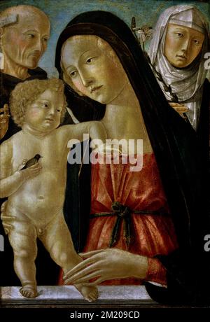 Neroccio di Bartolomeo Landi,1447-1500, Madonna and Child, St. Bernardine and St. Catherine of Siena,  Christian Art, Italy, Italian. Stock Photo