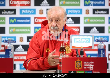 20151116 - BRUSSELS, BELGIUM: Spain's head coach Vicente del Bosque pictured during a press conference of the Spanish national soccer team, Monday 16 November 2015, in Brussels. Tomorrow Spain is playing the Red Devils, the Belgian national soccer team, in preparation of the Euro2016 European Championships. BELGA PHOTO BRUNO FAHY Stock Photo