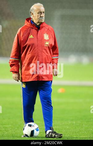 20151116 - BRUSSELS, BELGIUM: Spain's head coach Vicente del Bosque pictured during a training session of the Spanish national soccer team, Monday 16 November 2015, in Brussels. Tomorrow Spain is playing the Red Devils, the Belgian national soccer team, in preparation of the Euro2016 European Championships. BELGA PHOTO BRUNO FAHY Stock Photo