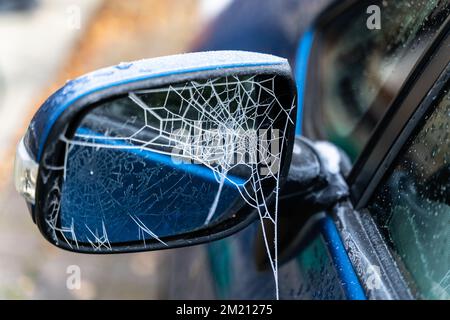 frozen spiders web Stock Photo