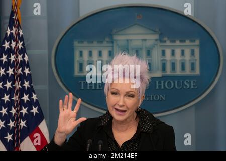 Washington, United States Of America. 13th Dec, 2022. Musician Cyndi Lauper makes a statement in the briefing room at the White House in Washington, DC on Tuesday, December 13, 2022. Credit: Chris Kleponis/Pool/Sipa USA Credit: Sipa USA/Alamy Live News Stock Photo