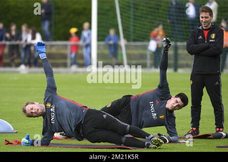 Belgium's Mousa Dembele, Belgium's physical therapist Bernard Vandevelde  and Belgium's Radja Nainggolan pictured during a training session of  Belgian national soccer team Red Devils, on the first day of a three-day  training