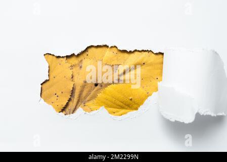 Abstract plain tear paper showing background conspectus flatlay sheet presenting another backdrop broken note reveal behind Stock Photo