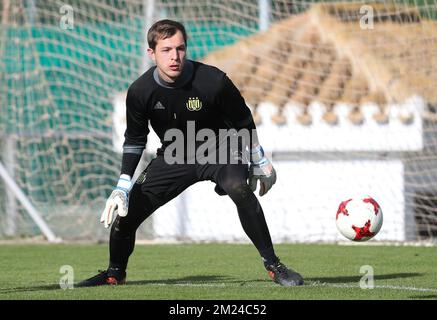 Anderlecht's goalkeeper Davy Roef pictured during the seventh day of the winter training camp of Belgian first division soccer team RSC Anderlecht Los Belones, Murcia, Spain, Wednesday 11 January 2017. BELGA PHOTO VIRGINIE LEFOUR Stock Photo