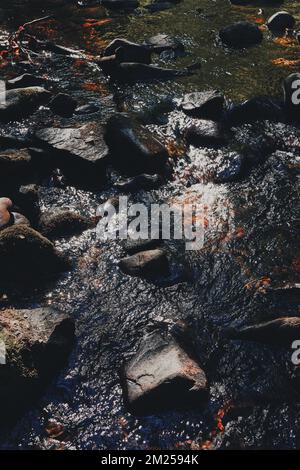 A top view of the Olterudelva River flowing through slippery rocks in Toten, Norway in late summer Stock Photo