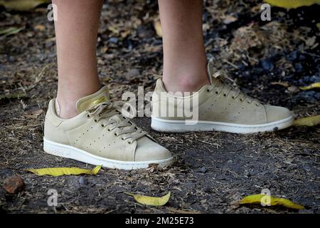 Illustration picture shows Queen Mathilde of Belgium her shoes during a visit to the Vat Phou temple south of Pakse, Laos, Thursday 23 February 2017. Queen Mathilde, honorary President of Unicef Belgium, is on a four days mission in Laos. BELGA PHOTO YORICK JANSENS  Stock Photo