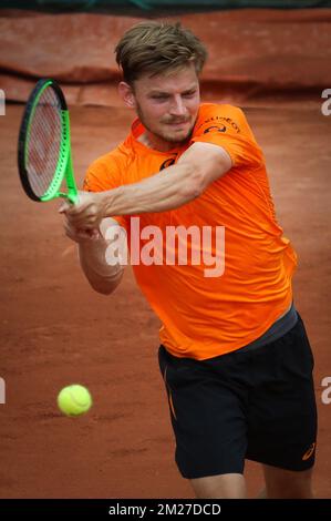 Belgian David Goffin (ATP 12) pictured in action during a tennis game against French Paul-Henri Mathieu (ATP 120), in the first round of the men's tournament at the Roland Garros French Open tennis tournament, in Paris, France, Monday 29 May 2017. The main table Roland Garros Grand Slam takes place from 29 May to 11 June 2017. BELGA PHOTO VIRGINIE LEFOUR Stock Photo