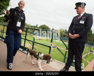 About  Grand Slam Canine Training