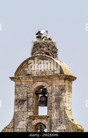 Storks on the Church of Santa Maria in Maderuelo in the Segovia province Castile Leon Spain Stock Photo