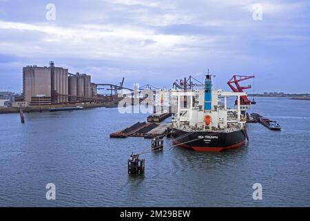 Sea Triumph, bulk carrier from Panama docked in the Port of Rotterdam, The Netherlands | Sea Triumph, vraquier dans le Port de Rotterdam, Pays-Bas 08/06/2017 Stock Photo