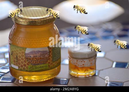 Pots of honey and bee | Pots de miel et abeilles 14/10/2017 Stock Photo
