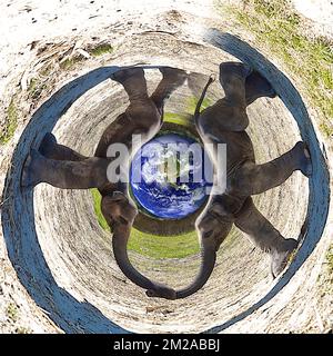 Elephant and the planet | Elephant et la planète 10/07/2016 Stock Photo