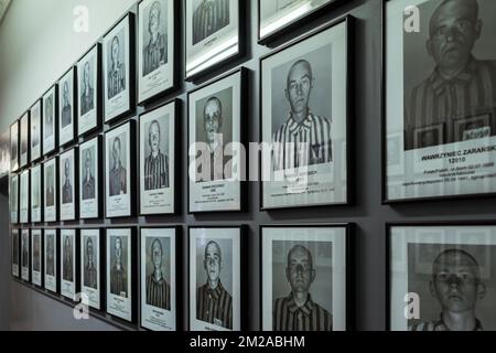 Jews, gypsies, polish, russians and another Prisoners Portraits into nazi concentration camp museum at Auschwitz Poland Stock Photo