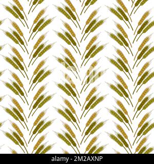 Wheat spikelets in rows, agriculture and harvesting seamless pattern Stock Vector