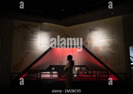 221214 -- HARBIN, Dec. 14, 2022 -- This photo taken on Dec. 10, 2022 ...