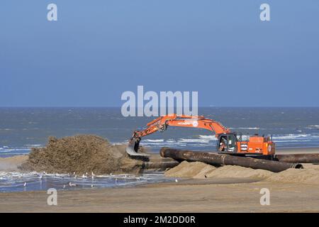 Hitachi Zaxis 470 LCH, crawler hydraulic excavator used by Dredging and Marine Works Jan De Nul for sand replenishment / beach nourishment at Ostend | Hitachi Zaxis 470 LCH, pelle mécanique hydraulique de Dredging and Marine Works Jan De Nul pour sable de reconstitution sur la plage d'Ostende pour réduire les dommages créés par des tempêtes, Belgique 22/02/2018 Stock Photo