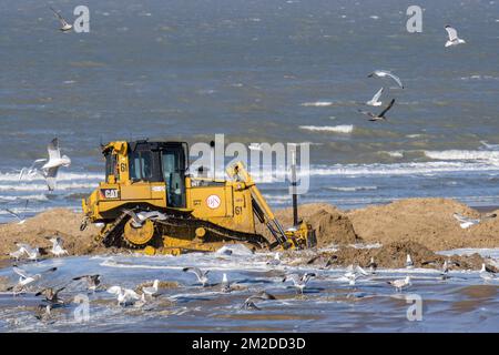 Bulldozer from Dredging and Marine Works Jan De Nul used for sand replenishment / beach nourishment to make wider beaches to reduce storm damage at Ostend, Belgium | Bulldozer pour sable de reconstitution par Dredging and Marine Works Jan De Nul sur la plage d'Ostende pour réduire les dommages créés par des tempêtes, Belgique 22/02/2018 Stock Photo